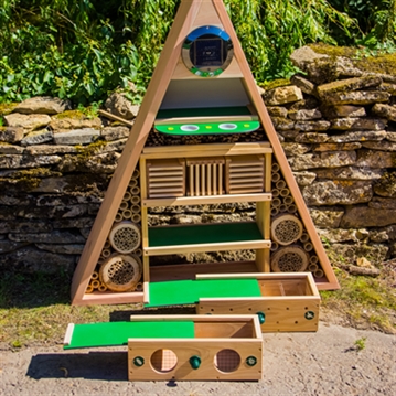 Educational Pyramid Insect Hotel