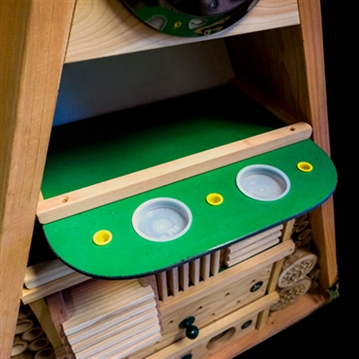 Educational Pyramid Insect Hotel