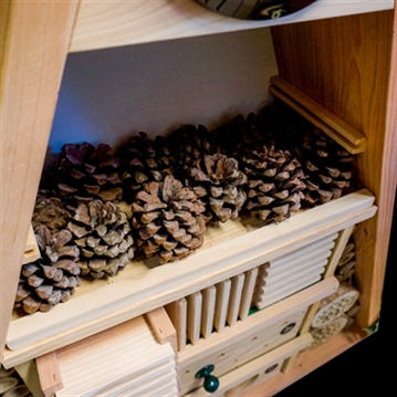 Educational Pyramid Insect Hotel