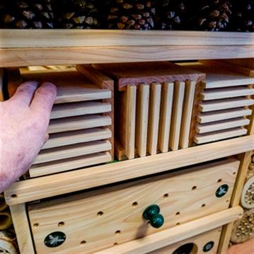 Educational Pyramid Insect Hotel