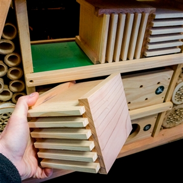 Educational Pyramid Insect Hotel