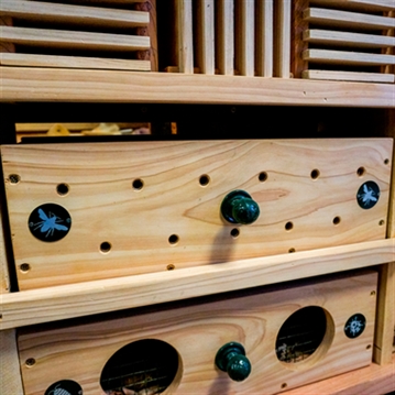 Educational Pyramid Insect Hotel