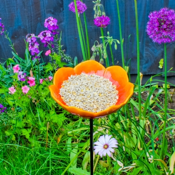 Wild Poppy Red Bird Feeder