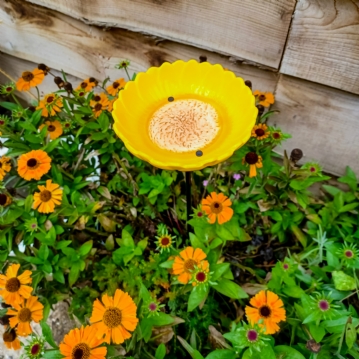 Sunflower Garden Bird Feeder