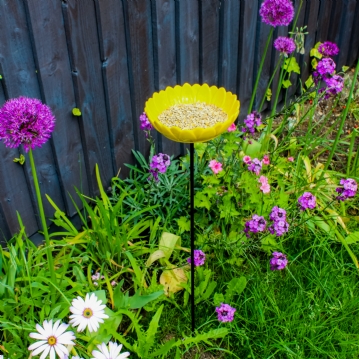 Sunflower Garden Bird Feeder