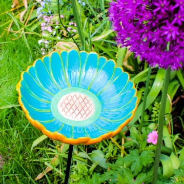 African Daisy Bird Drinker