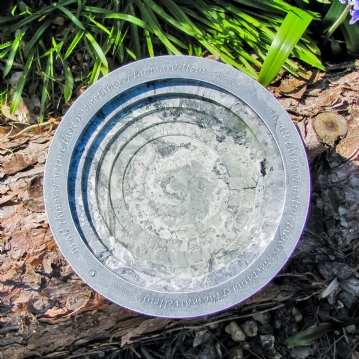 Aristotle Oasis Bath & Drinker