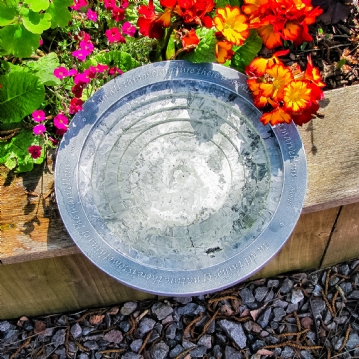 Aristotle Oasis Bath & Drinker