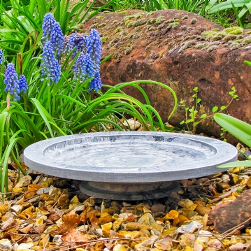 Aristotle Oasis Bath & Drinker