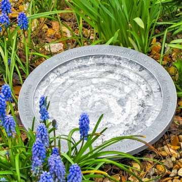 Aristotle Oasis Bath & Drinker