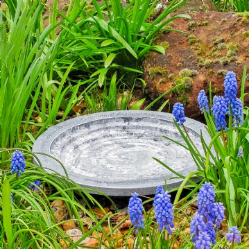 Aristotle Oasis Bath & Drinker