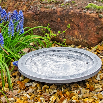 Aristotle Oasis Bath & Drinker