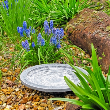 Aristotle Oasis Bath & Drinker