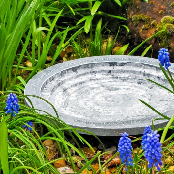 Aristotle Oasis Bath & Drinker