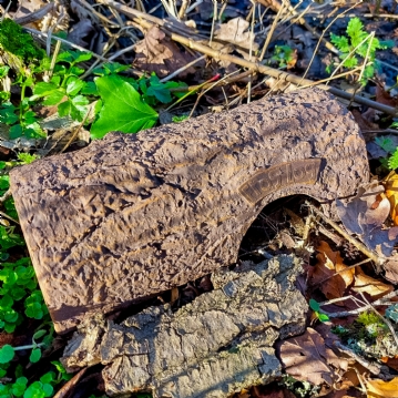 Frog Log