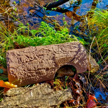 Frog Log