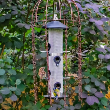 Simon King Medusa Feeder Defender