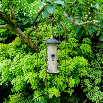 Simon King Medusa Feeder Defender