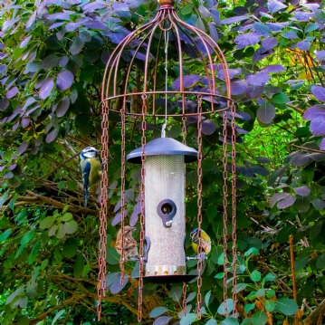 Simon King Medusa Feeder Defender