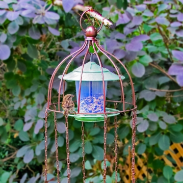 Simon King Medusa Feeder Defender