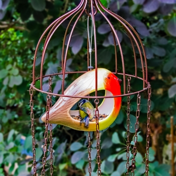 Simon King Medusa Feeder Defender