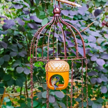 Simon King Medusa Feeder Defender