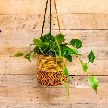 Artisan Hanging Planters