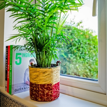 Artisan Hanging Planters