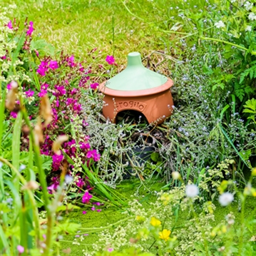 Frogilo - Eco-Friendly Frog Shelte