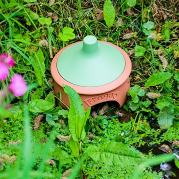 Frogilo - Eco-Friendly Frog Shelte