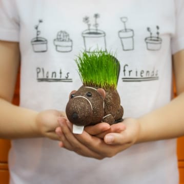 Grow Your Own Hairy Beaver