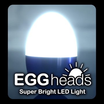 Egghead LED Light