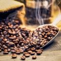 Thumbnail 1 - Coffee Roasting Training Taster Session