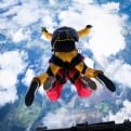 Thumbnail 3 - Tandem Skydive Experience