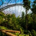 Thumbnail 2 - Eden Project Entrance for Two
