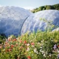 Thumbnail 6 - Eden Project Entrance for Two