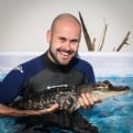 Thumbnail 1 - Swimming with the Crocodiles for Two 