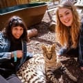 Thumbnail 1 - Meet the Meerkats, Servals and Lemurs at Hoo Farm for Two