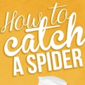 Thumbnail 2 - how to catch a spider poster