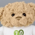 Thumbnail 8 - Personalised 70th Birthday Balloon Teddy Bear