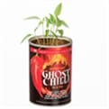 Thumbnail 1 - Grow Your Own Ghost Chilli