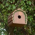 Thumbnail 4 - 2-in-1 Squirrel Feeder and Bird Nesting Box