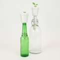 Thumbnail 6 - Botanical Bottle Top Growing Kits