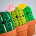 Thumbnail 6 - Handmade Mini Crochet Cactus Trio