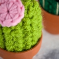 Thumbnail 9 - Handmade Mini Crochet Cactus Trio