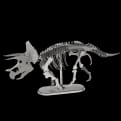 Thumbnail 1 - Metal Earth Triceratops