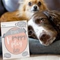 Thumbnail 1 - Personalised Puppy Cards For Milestone Moments