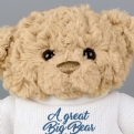 Thumbnail 10 - Personalised Bear Hug Teddy