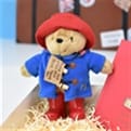 Thumbnail 12 - Paddington Bear Plush Toy Personalised Book Gift Set