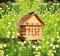 Thumbnail 1 - Interactive Solitary Bee Hive